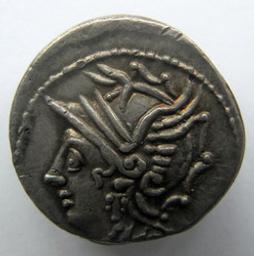 Monnaie romaine, Rome, 104 v. ChrRomeinse Munt, Rome, 104 v. Chr | C. Coelius Caldus. Ruler