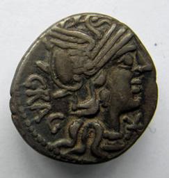 Monnaie romaine, Rome, 136 v. ChrRomeinse Munt, Rome, 136 v. Chr | L. Antestius Gragulus. Souverain