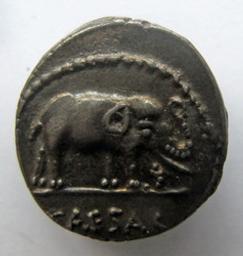 Romeinse Munt, Rome, 49-48 v.Chr | C. Iulius Caesar. Heerser