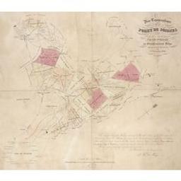 Plan topographique de la forêt de Soignes telle qu'elle a été cédée par la Société générale au gouvernement belge ainsi qu'il résulte du traité du 5 novembre 1842 | De Roy, Jean-Baptiste (1759-1839)