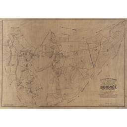 Plan parcellaire de la commune de Boignée | Popp, Philippe Christian (1805-1879)