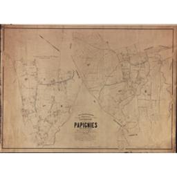 Plan parcellaire de la commune de Papignies | Popp, Philippe Christian (1805-1879)
