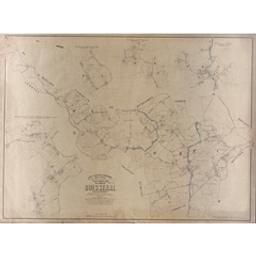 Plan parcellaire de la commune de Buissenal | Popp, Philippe Christian (1805-1879)