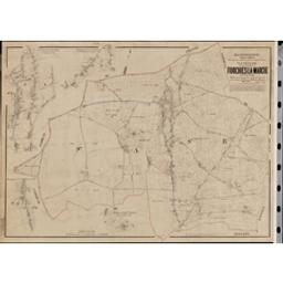 Plan parcellaire de la commune de Forchies-la-Marche | Popp, Philippe Christian (1805-1879)