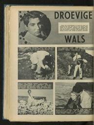 Droevige wals | 