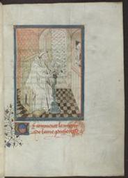 Speculum aureum anime peccatricis ; Le Miroir de l'âme pécheresse = [ms. 11123] | Jacobus Gruitroedius (ca. 1400-1475) - O.Cart