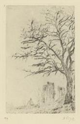 Acacia - 1888 | Ensor, James (1860-1949). Graveur