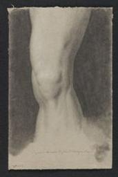 Study of the left knee of Mercury of Giambologna | Cels, Cornelis (1778-1859). Illustrator