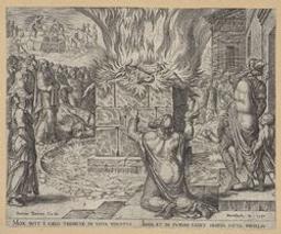 The fire consuming Elijah's sacrifice | Van Heemskerck, Maerten (1498-1574). Artiest